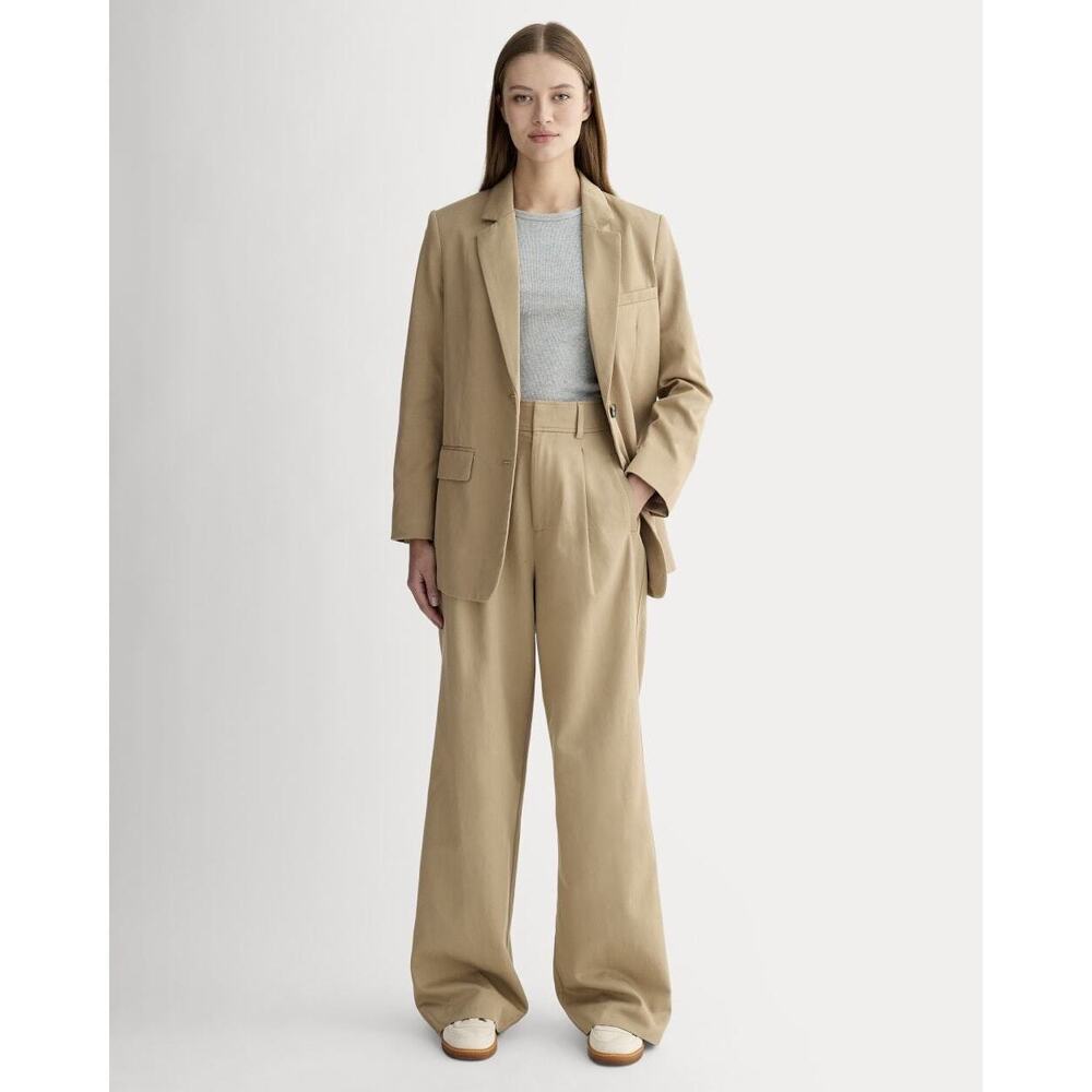 Everlane Women's Draper Pleated Pant in Buttersmooth in Ash Brown, Size 8